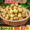 恩施现挖新鲜土豆5斤小土豆农产品黄心马铃薯大蔬菜洋芋10香 2500g