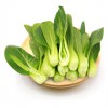 绿鲜知 上海青 小油菜 约400g 鸡毛菜 火锅食材 产地直供 新鲜蔬菜