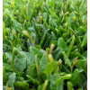 茶叶山东日照绿茶2021新茶春茶头采炒青500g明前豆香板栗促销散装