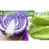 蔬菜新鲜套餐健身餐即食混合沙拉食材生菜沙拉生吃2斤装沙拉蔬菜