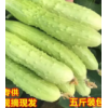 阳白玉黄瓜新鲜水果小黄瓜5斤包邮当季脆嫩白黄瓜蔬菜水果青瓜