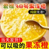 爱媛38号果冻橙子新鲜包邮当季水果手剥橙柑橘桔子特精品好果盒装