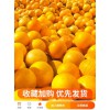 湖南麻阳冰糖橙新鲜橙子9斤当季孕妇水果夏甜橙手剥橙整箱10包邮
