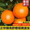 江西正宗赣南脐橙新鲜水果多汁现摘现发农家不催熟甜橙子10斤包邮