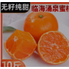 浙江临海涌泉蜜桔正宗橘子新鲜10斤当季水果整箱黄岩蜜橘桔子砂糖