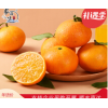 象海味 正宗象山红美人柑橘 象山本地产区海岛种植珍品级贡果 爱媛28号水果年货礼盒礼品卡果园直发 中果（15颗）普通装 5斤