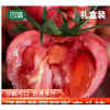 泾阳西红柿奋斗柿2500g普罗旺斯沙瓤番茄生吃新鲜蔬菜水果礼盒 礼盒装*5斤